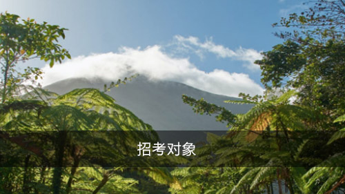 招考对象