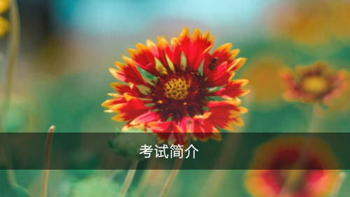 考试简介