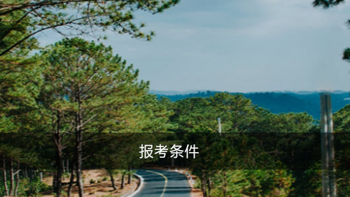 报考条件